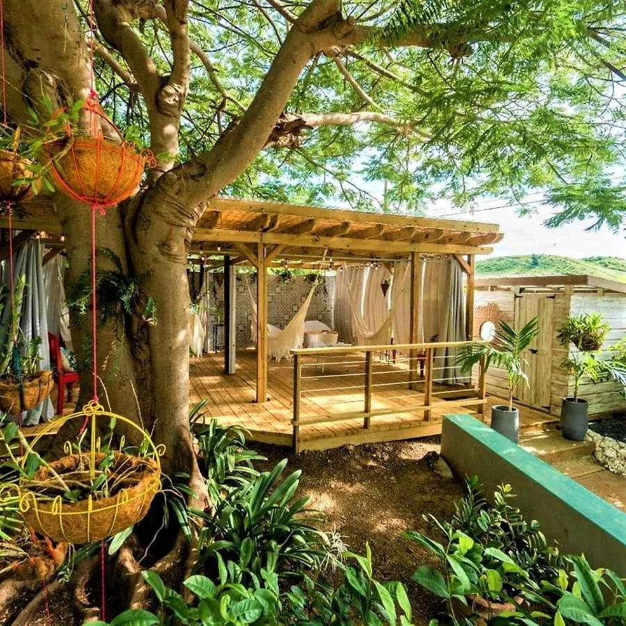La Jamaca - Island Vibe Hotel Ла-Паргера 3*,  Пуэрто-Рико